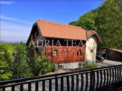 Dům, Samostatně stojící