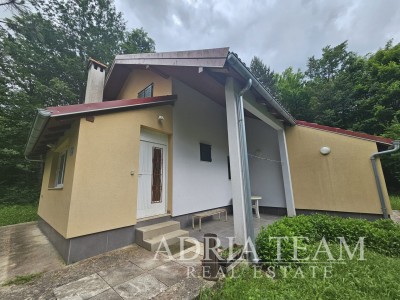 Dům, Samostatně stojící