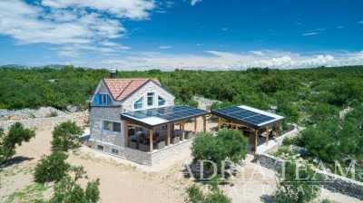 Dům, Vila